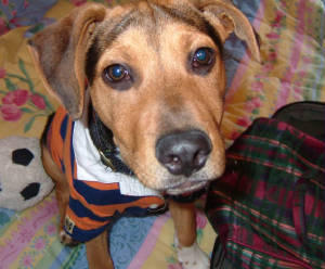 2003_0223image0021.jpg