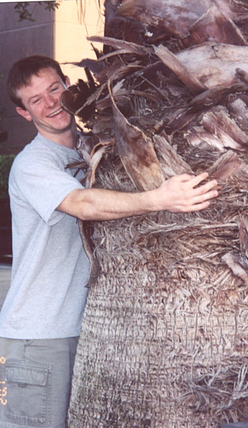 steviehugtree.jpg